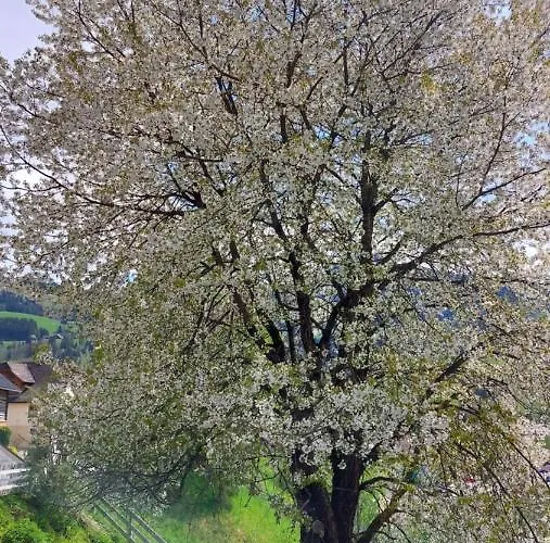 Franz Josef - By Mynests Aich (Styria)